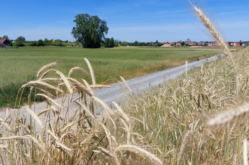 Sand- und Kiesgruben sind geborgtes Land