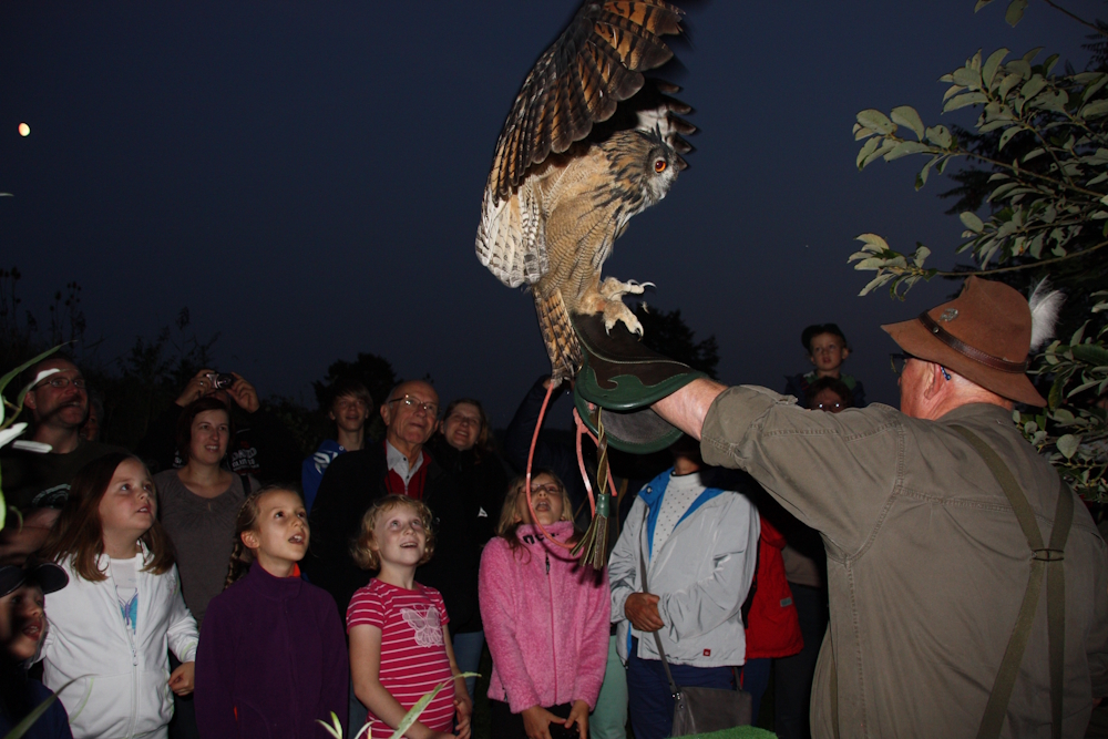 Jäger-der-Nacht-Eventbild-IMG_8719 Familienaktion Jäger der Nacht (Bayern TourNatur)