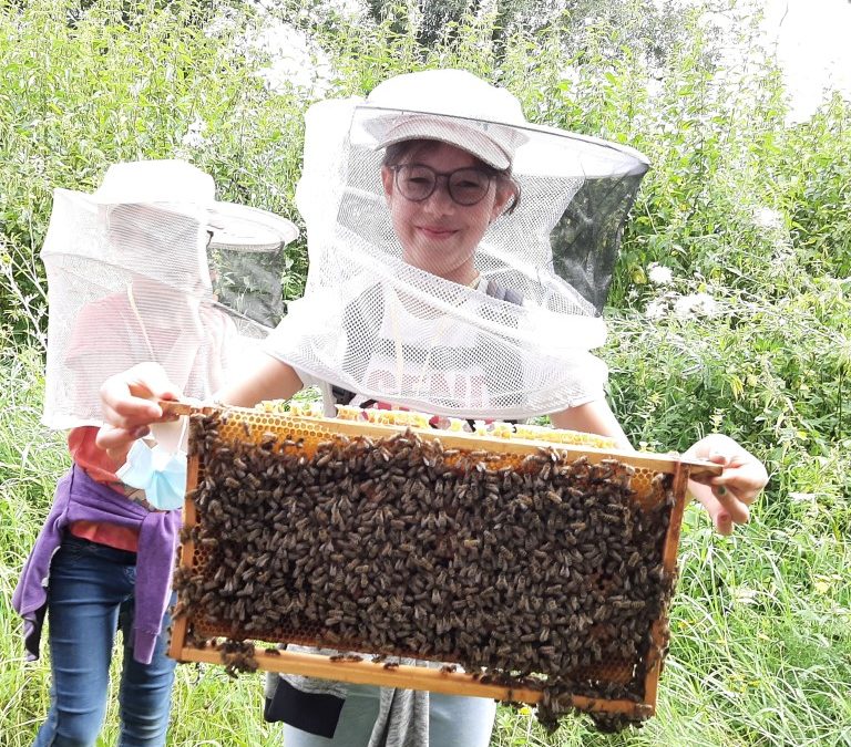 Familienaktionstag an der Kiesgrube in Hörblach – wir besuchen die Bienen